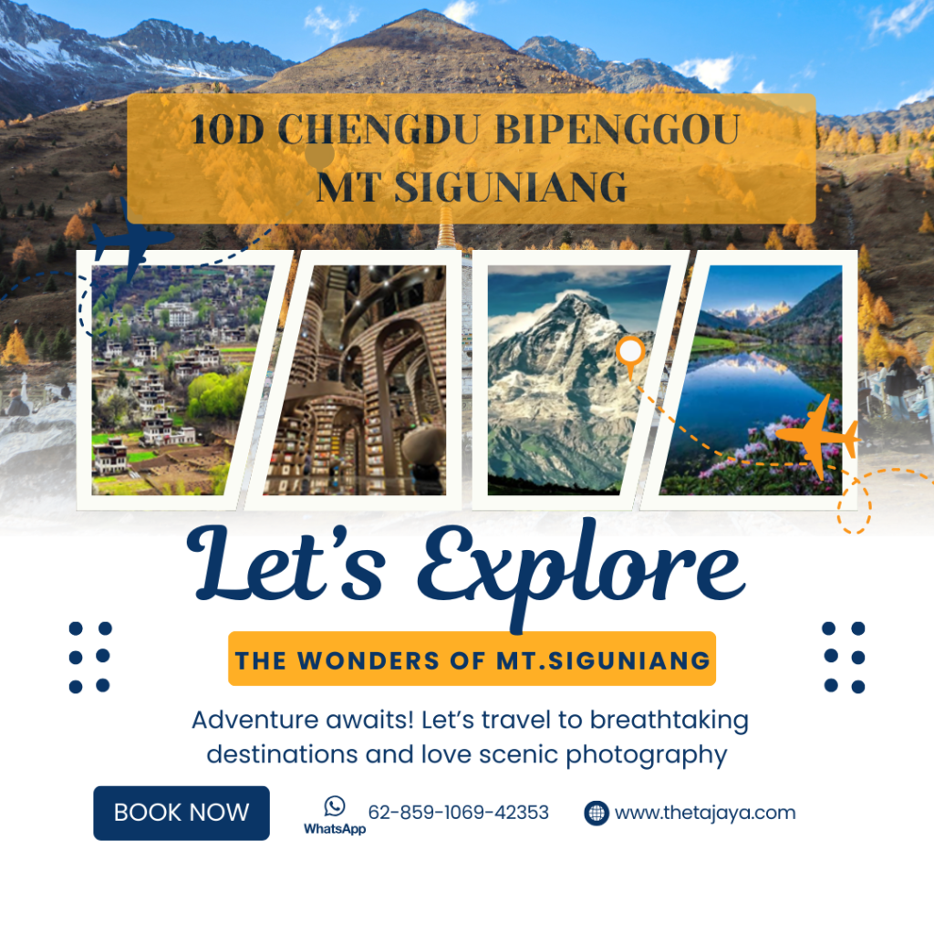 tour Chengdu konsorsium