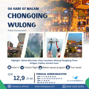 08D CHONGQING WULONG