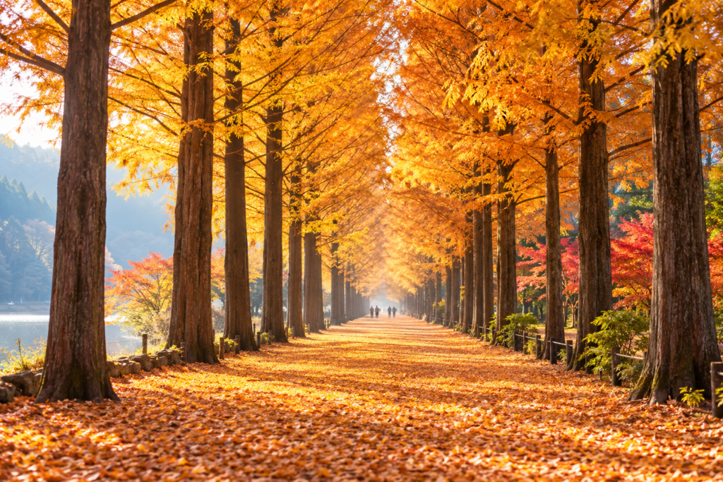 Paket Tour Nami Island Korea