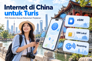 Internet di China